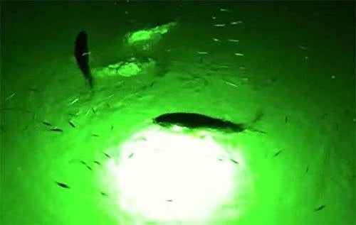 Multi-Color Color Changing LED Dock-7500 Liquid Fishing Light with Remote Control
