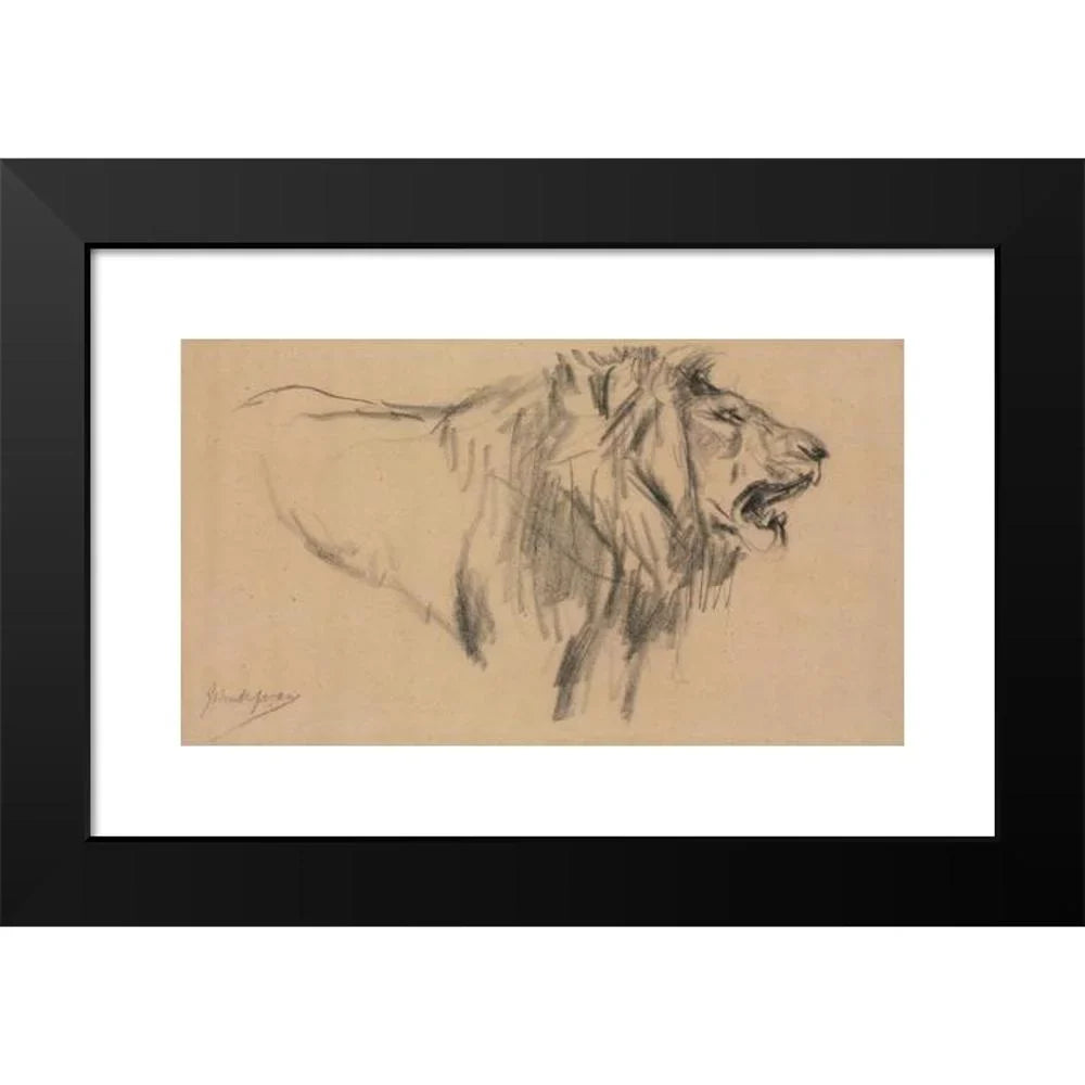 John Macallan Swan 14x10 Black Modern Framed Museum Art Print Titled - Lion