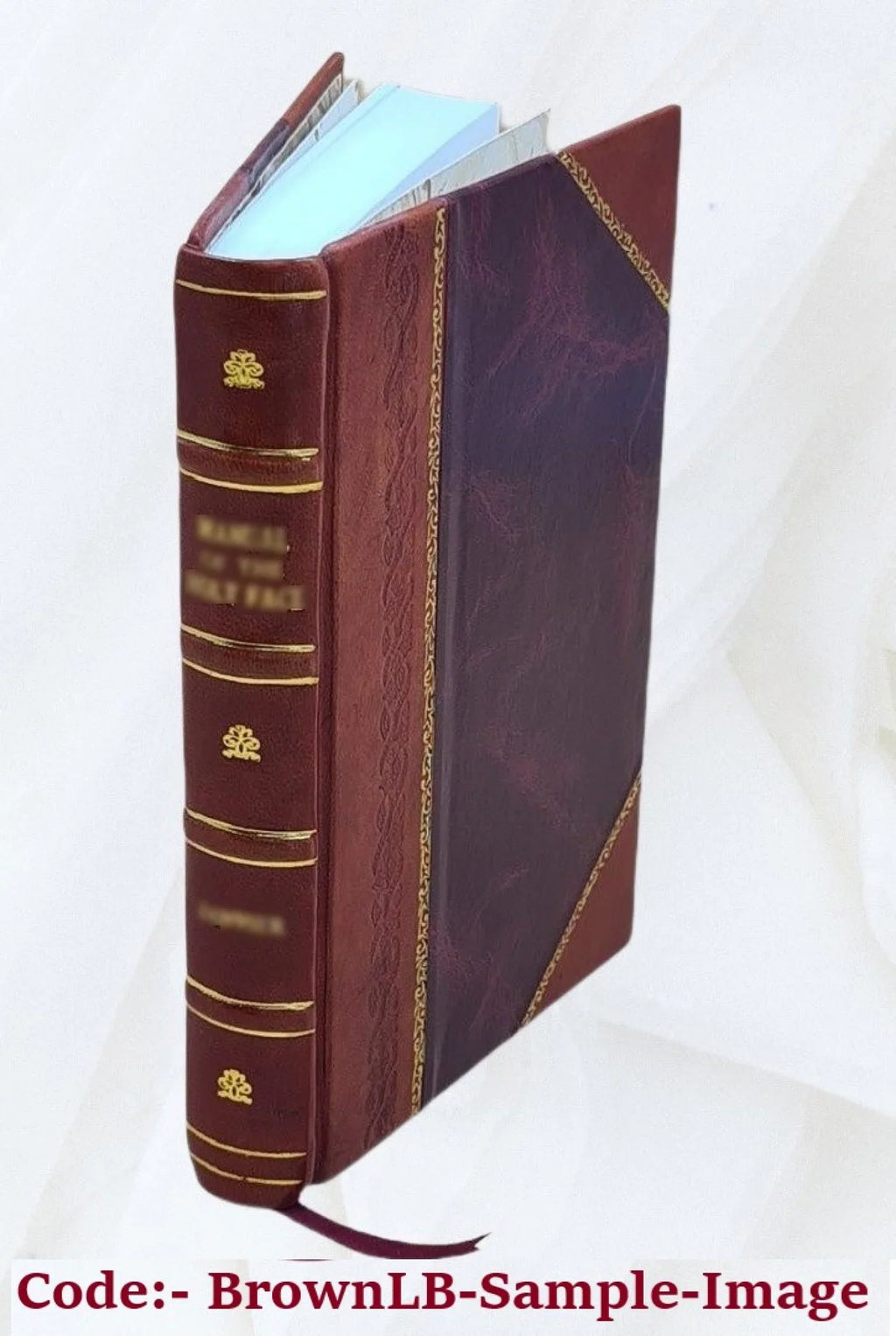 Joint maps of the international boundary between United States and Canada along the 141st. meridian from the Arctic Ocean to Mt. St. Elias (38 sheets) : surveyed and monumented 190