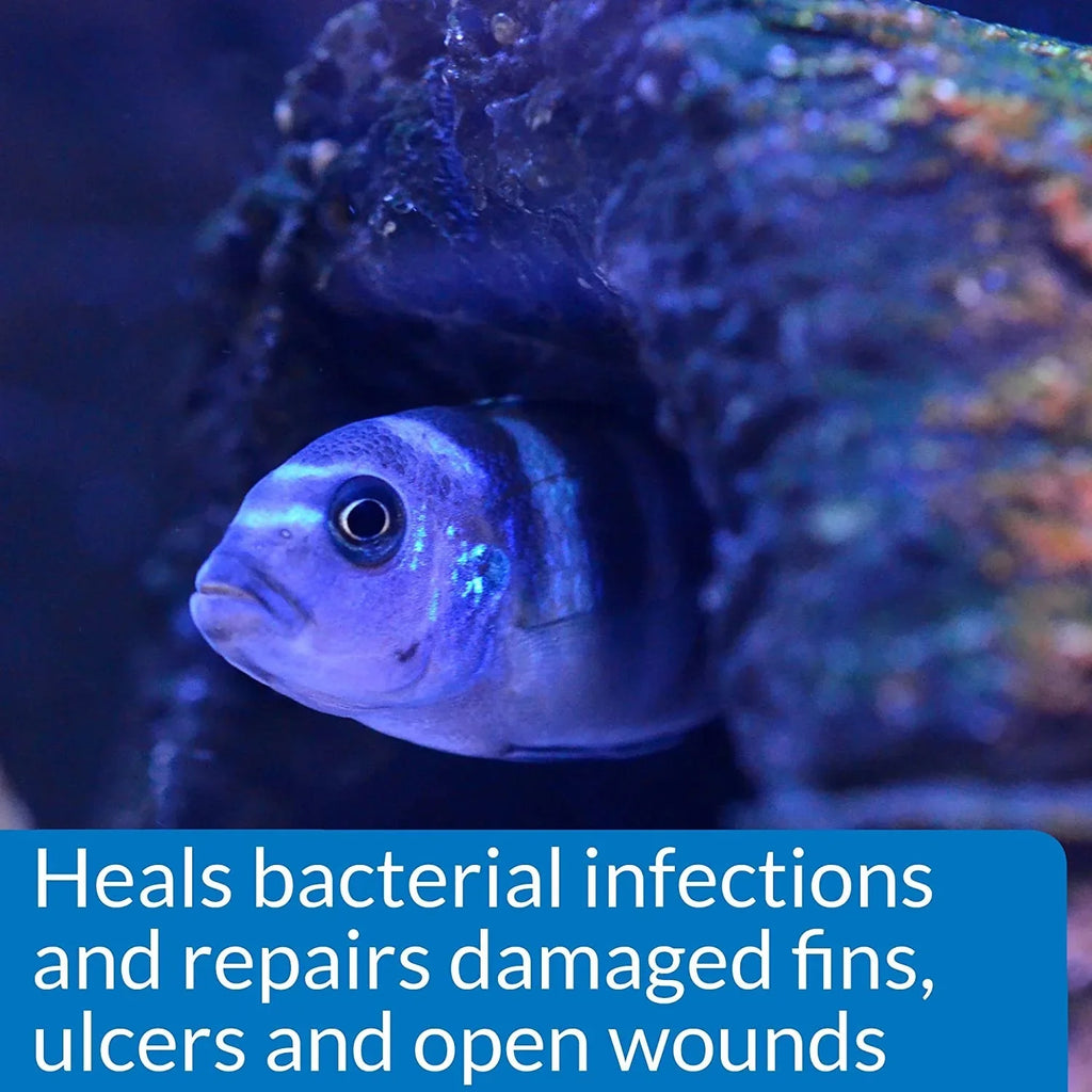 API MelaFix Treats Bacterial Infections for Fluid and Liquid Aquarium Fish [Aquarium Bacteria and Fungus Care, Aquarium Supplies] 128 oz (2 x 64 oz)