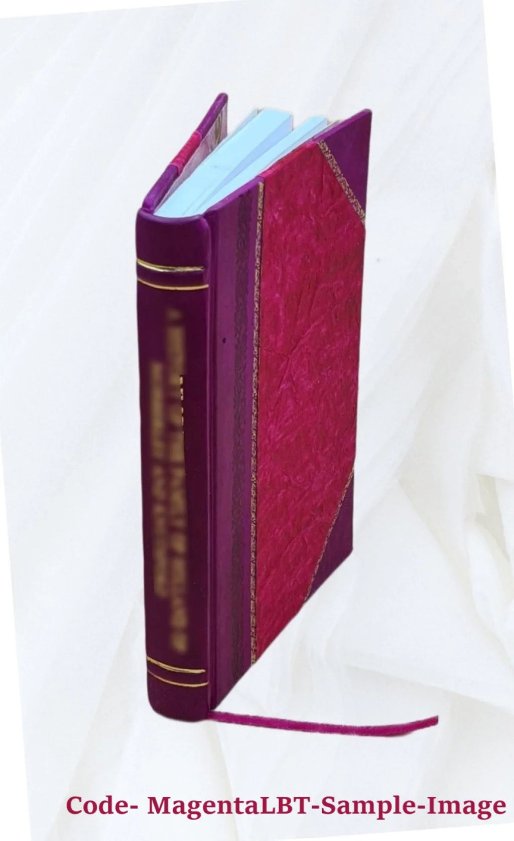 Spanish Honduras, its rivers, lagoons, savannas, mountains, minerals, forests, fish, game, agricultural products 1906 [Leather Bound]