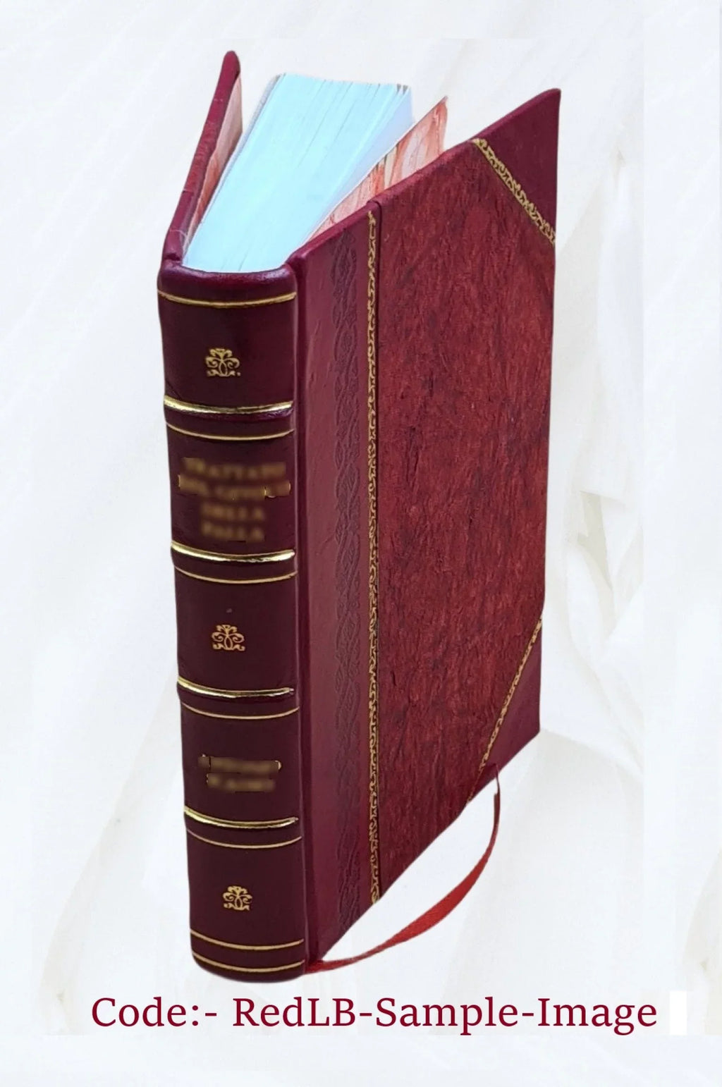 Joint maps of the international boundary between United States and Canada along the 141st. meridian from the Arctic Ocean to Mt. St. Elias (38 sheets) : surveyed and monumented 190