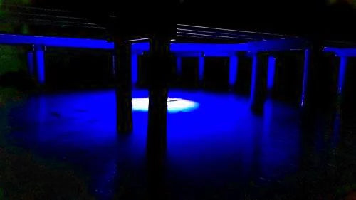 Multi-Color Color Changing LED Dock-7500 Liquid Fishing Light with Remote Control