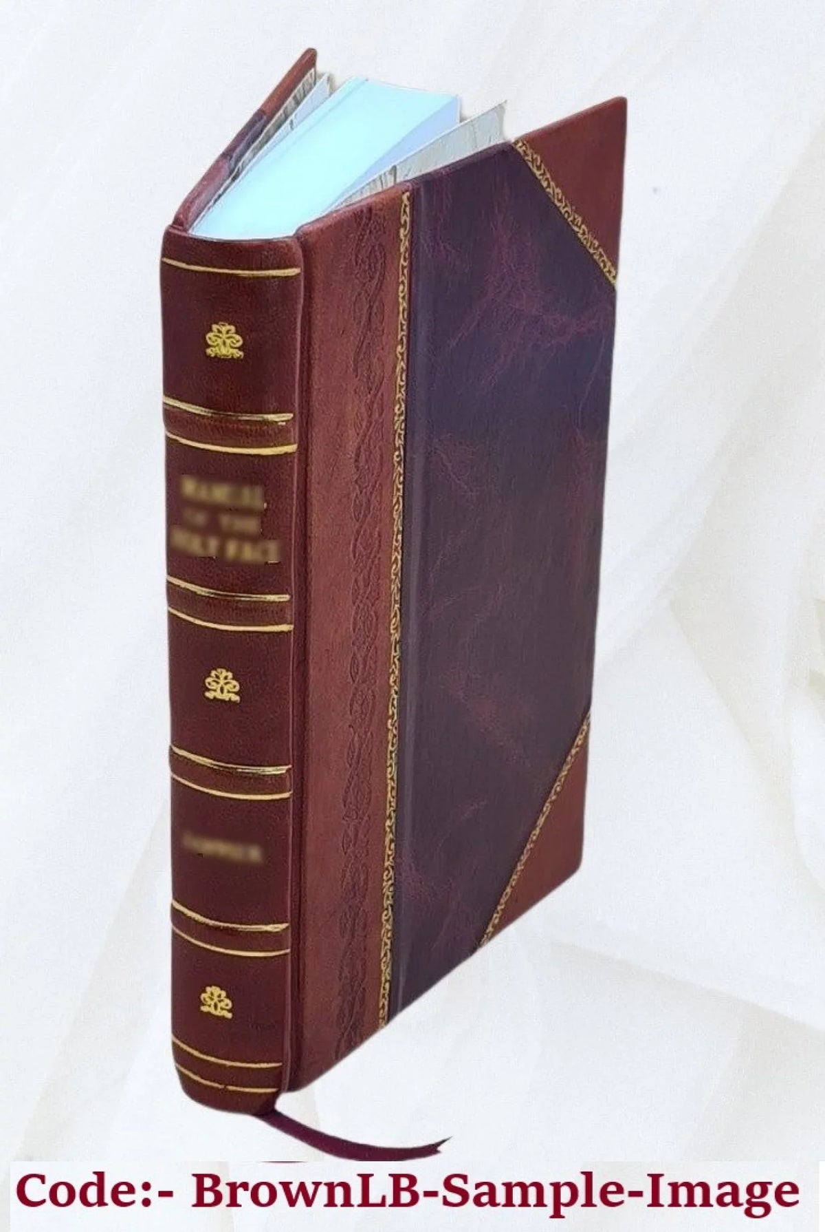 Gi͡ulistan-i Iram / Abbas-Kuli-aga Bakikhanov. 1926 [Leather Bound]