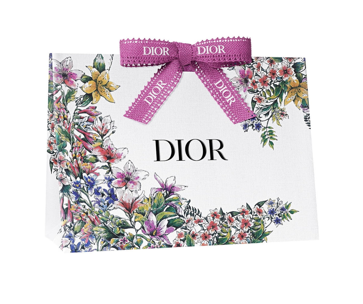 Dior Paper Gift Bag Shopping Bag Medium Size Blooming Boudoir Collection Pink Ribbon New