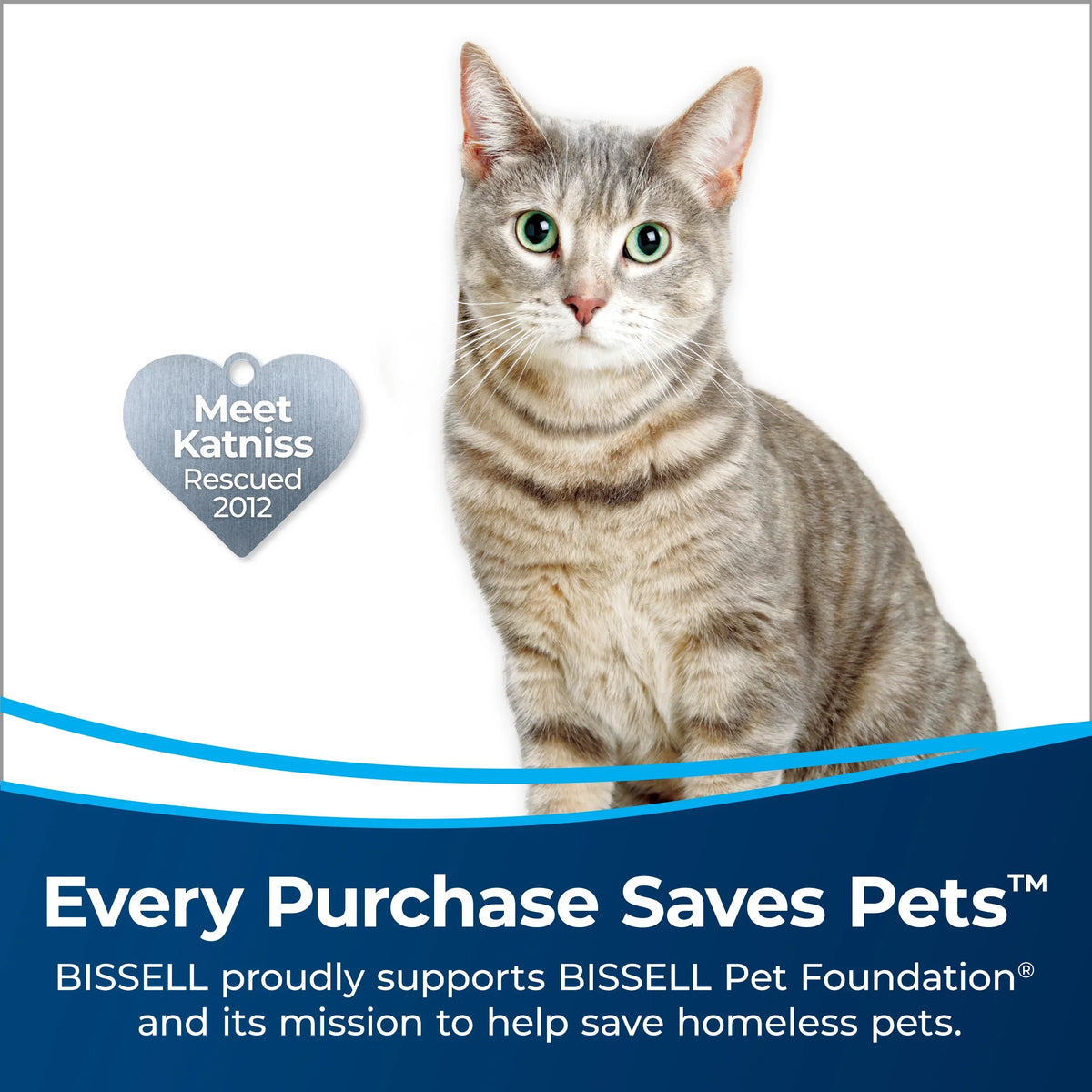 BISSELL MYair Plus, for rooms up to 100 sq. ft., 3179A